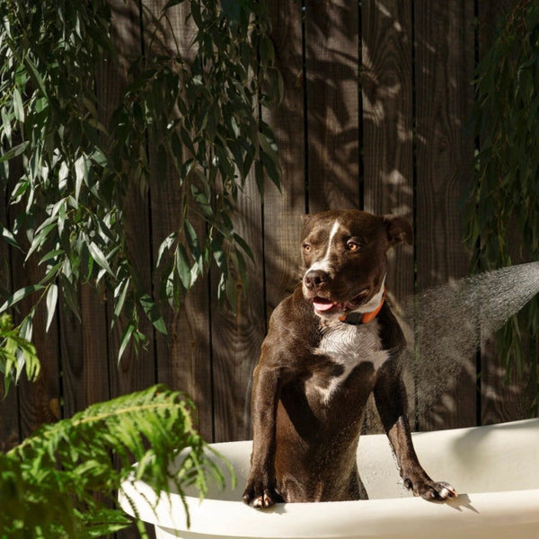 SmartFlow Portable Shower Kit