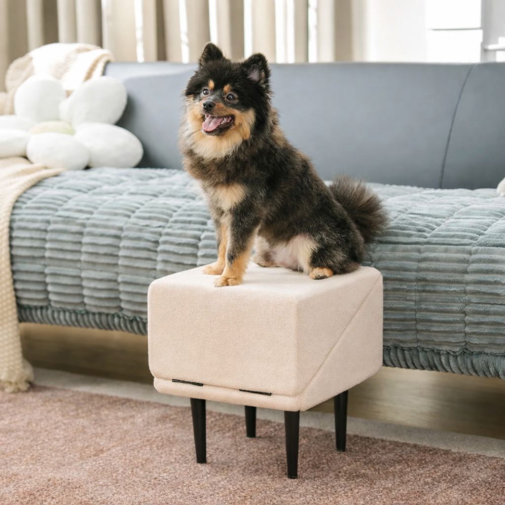 PawStep™ 2-in-1 Ramp