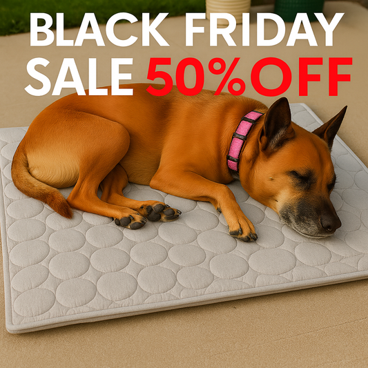 Cooling Comfort Pet Mat