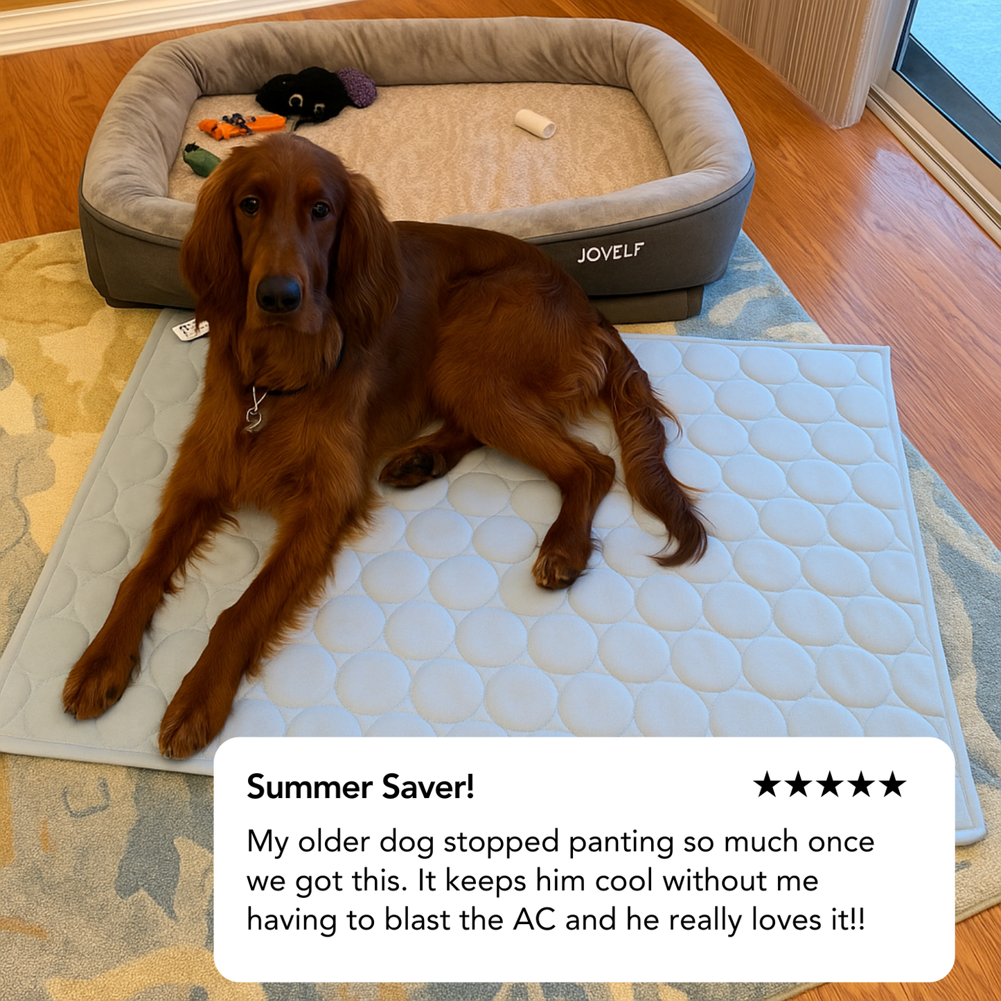 Cooling Comfort Pet Mat