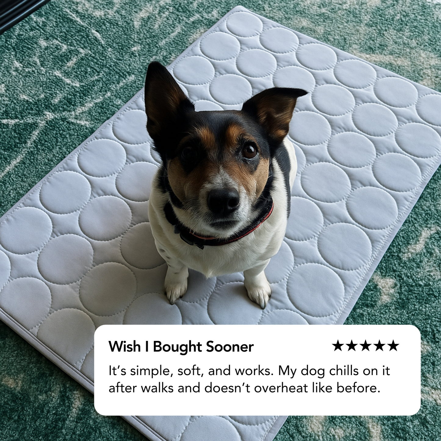 Cooling Comfort Pet Mat