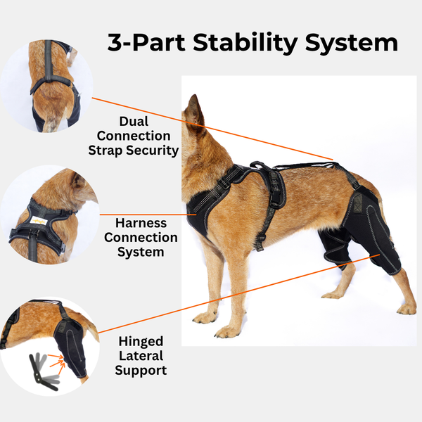 Pawsome Knee Brace for Dogs