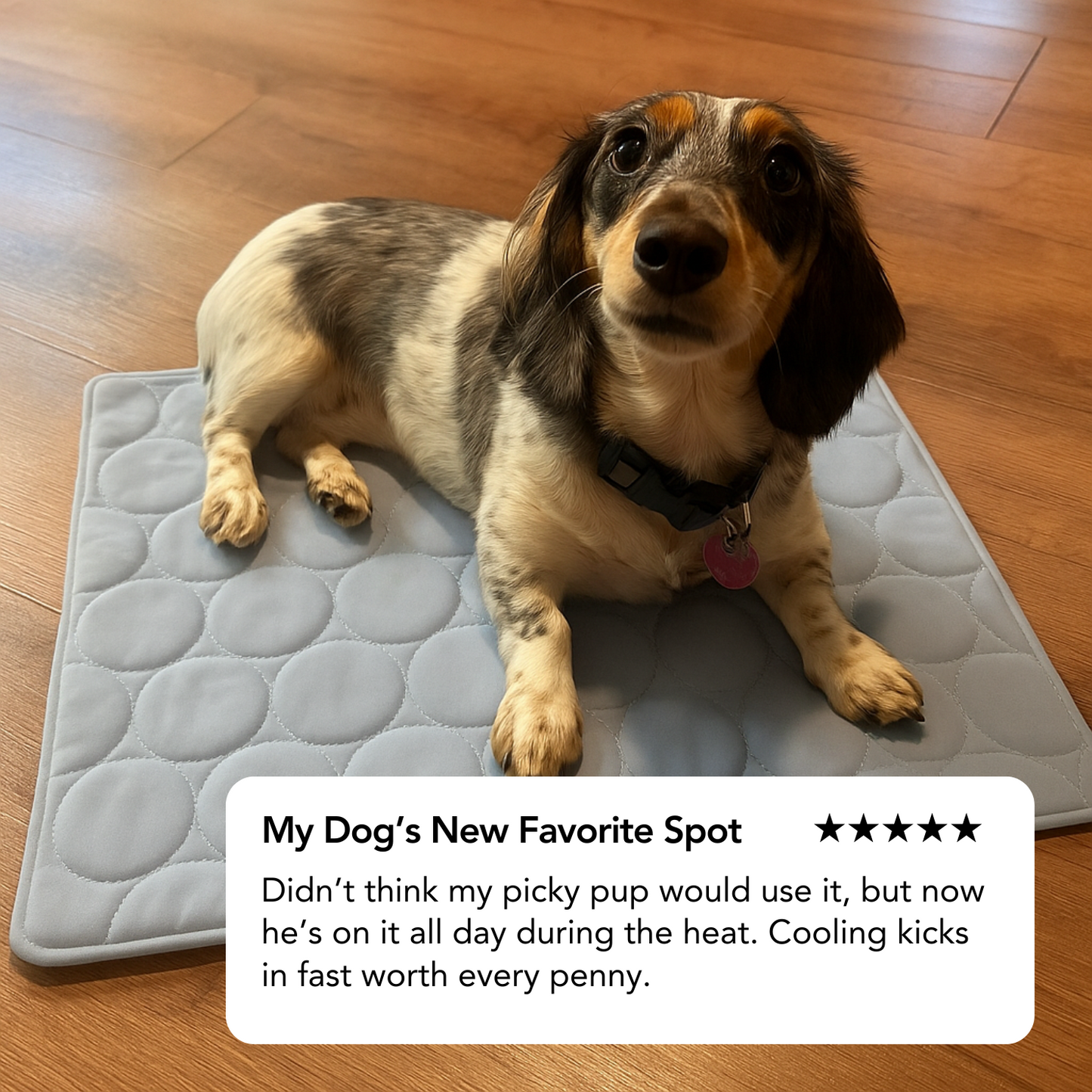 Cooling Comfort Pet Mat