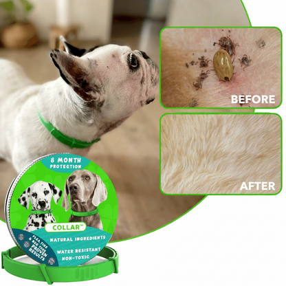 Ozzie's™ 8 Months All Natural Flea and Tick Collar for Dogs